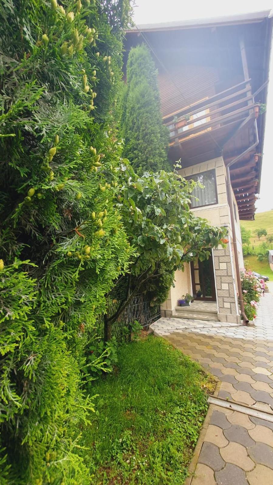 Pensiunea Belvedere Bran (Brasov) Exterior photo