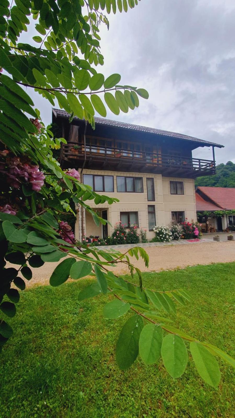 Pensiunea Belvedere Bran (Brasov) Exterior photo